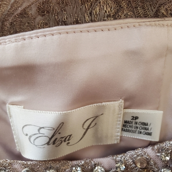 Eliza J Lace Bodice Gown size 2 Petite in Beige - Picture 10 of 13